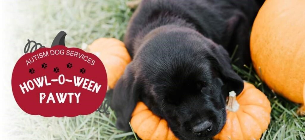 3rd Annual HOWL-0-WEEN Pawty – October 18, 2025 - Autism Dog Services